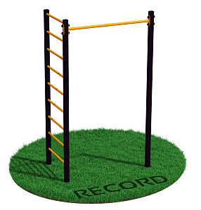 Уличный турник + шведская стенка Record RW-1 профиль 60х60 х 2 мм