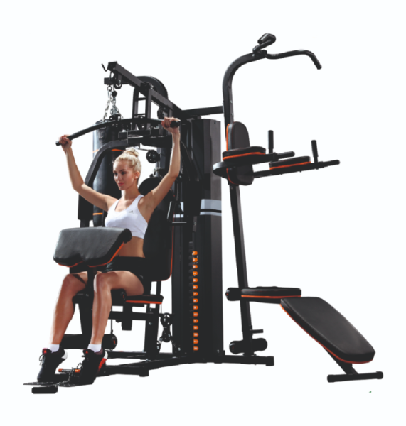 Altezani Gym 001 Силовая станция 