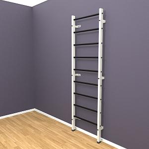 Шведская стенка "LittleSport" (белый*черный)