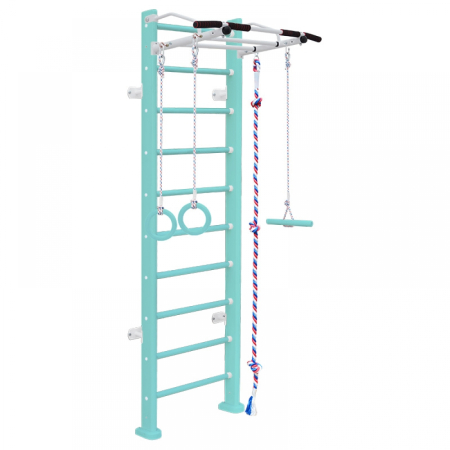 картинка Шведская стенка Карусель Адлер (пристеночная) (color) от магазина Лазалка